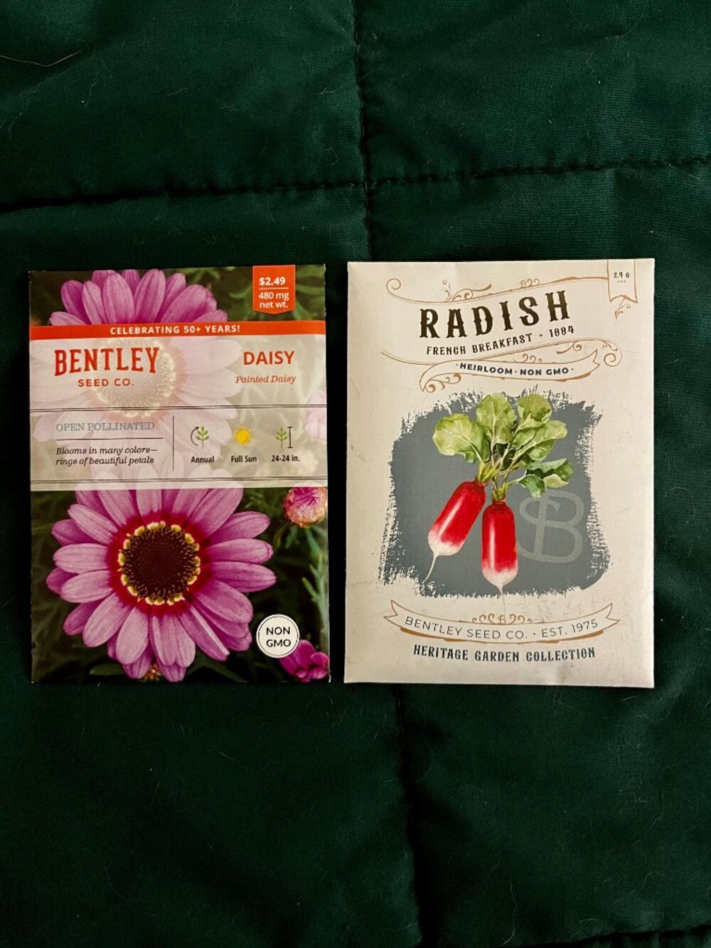 🍒 5/$25 🍒  GARDENING SEEDS | Painted Daisy & French Breakfast Radish